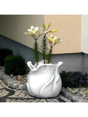 Donica Tulipan