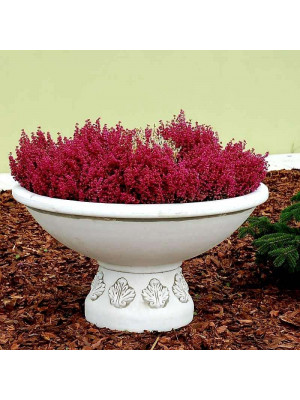 Waza Ornament Duża 56cm x 90cm