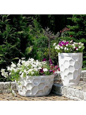 Zestaw Donic w Żółwi Wzorek (wysoka i niska) 50x36cm i 51x30cm (2szt)