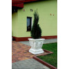 Donica Dionizos duża wys:54cm x szer: 49cm