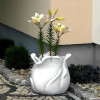 Donica Tulipan