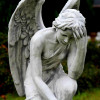 Figura Pochylony anioł z laurem 82cm