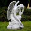 Figura Pochylony anioł z laurem 82cm