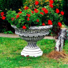 Ogromna Donica 76cm x 100cm