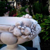 Puchar w rajskie jabłuszka 53cm x 67cm