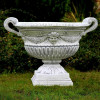 Puchar z uszami 54cm x 66cm