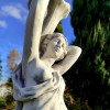 Figura Noemi