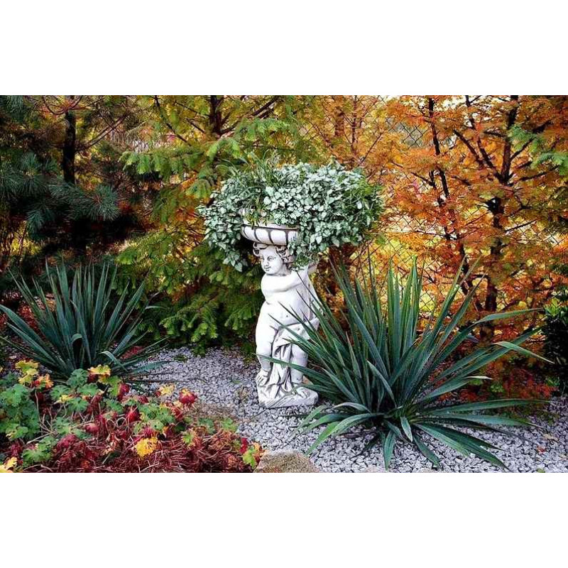 Zestaw Donic Chłopiec z Donicą nad Głową Prawy i Lewy 90cm x 50cm (2szt.)