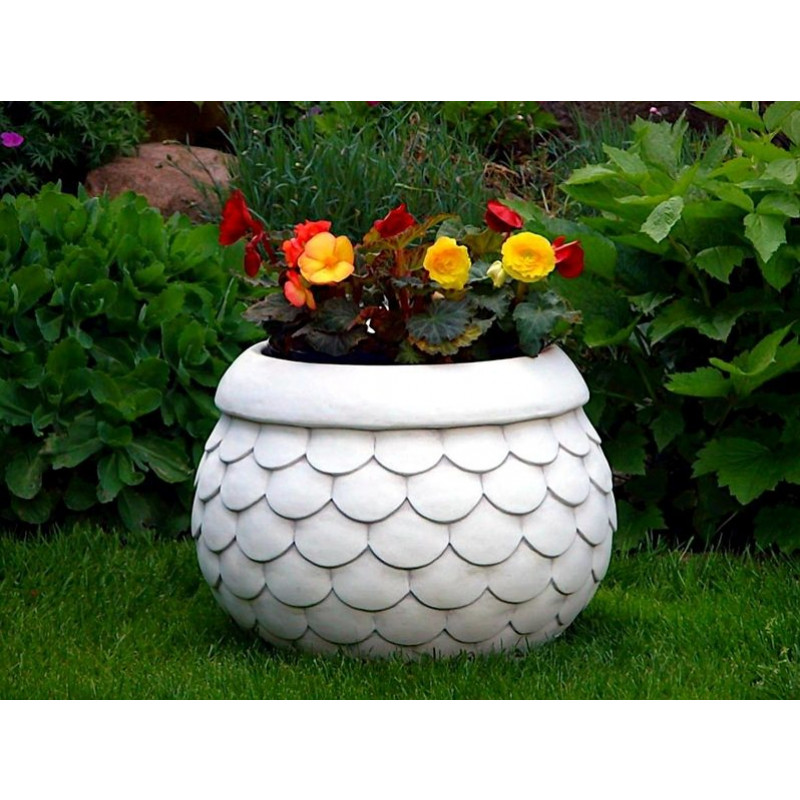 Donica Łuski Duża 46cm x 60cm