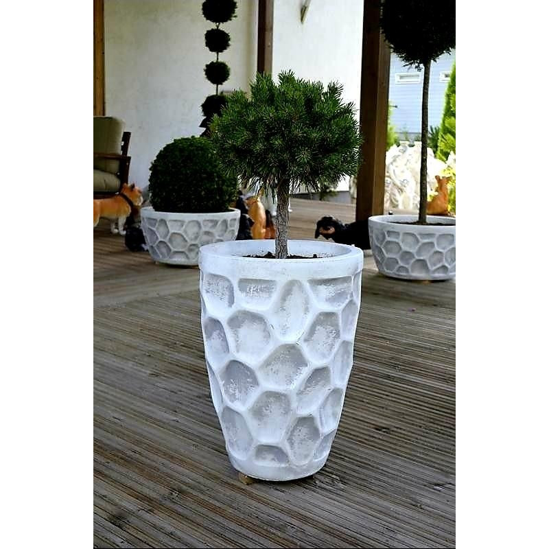 Zestaw Donic w Żółwi Wzorek (wysoka i niska) 50x36cm i 51x30cm (2szt)