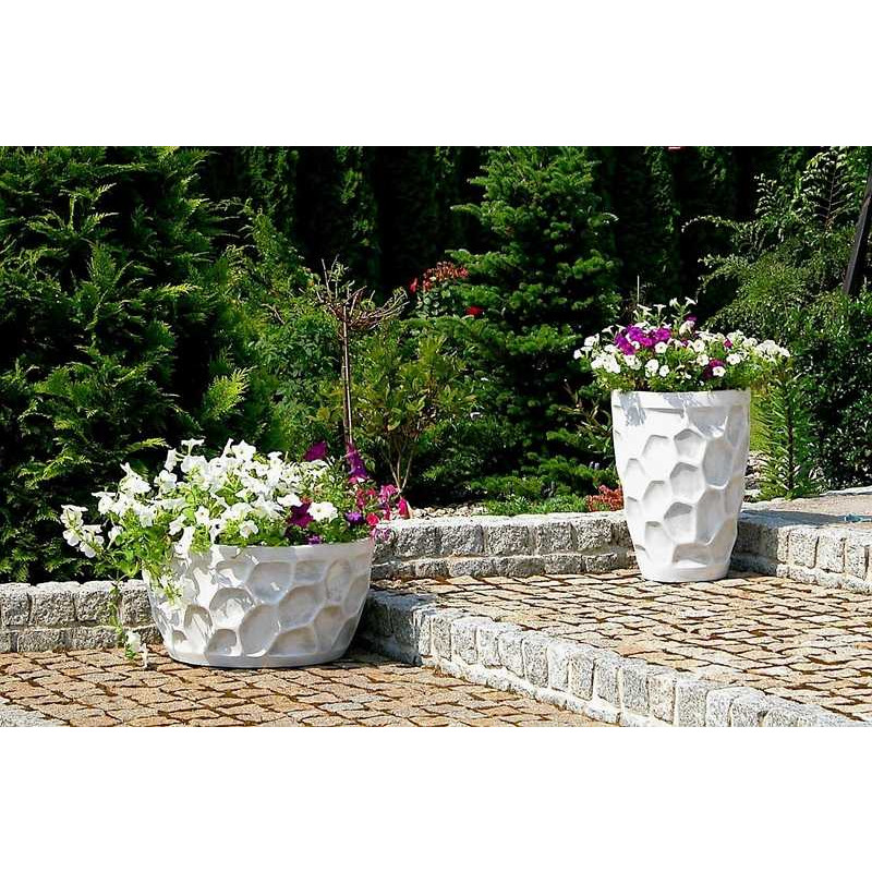 Zestaw Donic w Żółwi Wzorek (wysoka i niska) 50x36cm i 51x30cm (2szt)