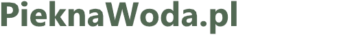 Logo Mobile